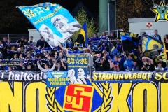SONY DSC
