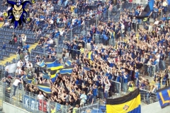 fsv-frankfurt_tus-koblenz_08