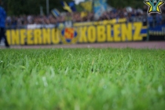 verl_08