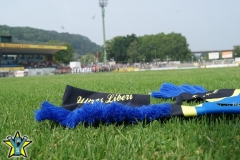 SONY DSC