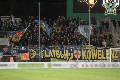 FSV_1