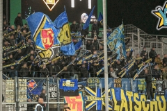 FSV_3