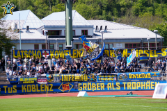 Gonsenheim_3_hp