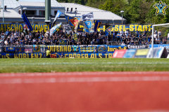 29. Spieltag TuS - FC Emmelshausen-Karbach (2:2)