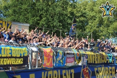 Schrott-Mainz-1