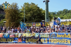 Schrott-Mainz-2