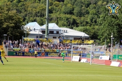 Schrott-Mainz-3