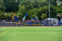 P1040665