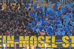 mainz_3