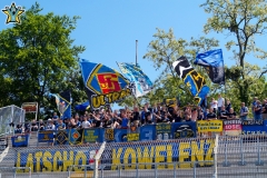 31. Spieltag: Arminia Ludwigshafen  - TuS (1:2)