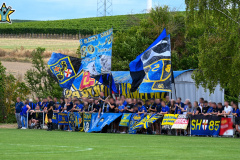 DSC_4119-2