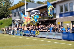 Wiesbach_14