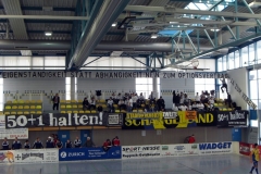 Sesterhenn_1