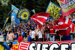 sfs_7